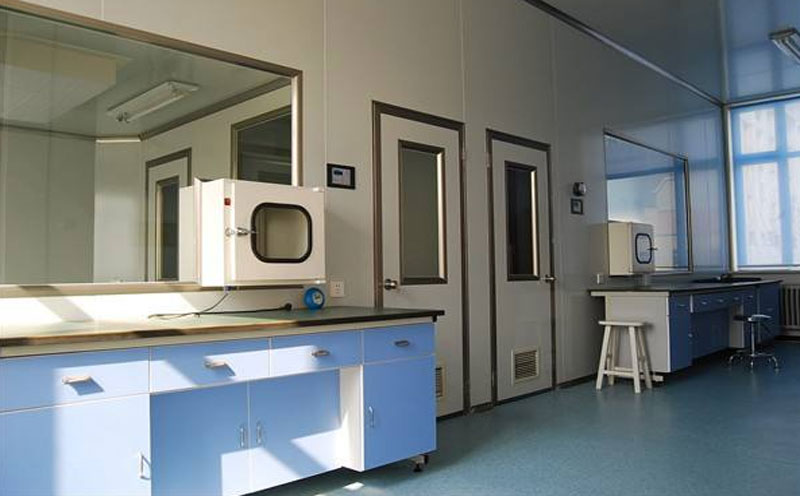 微生物無(wú)菌實(shí)驗(yàn)室凈化車間