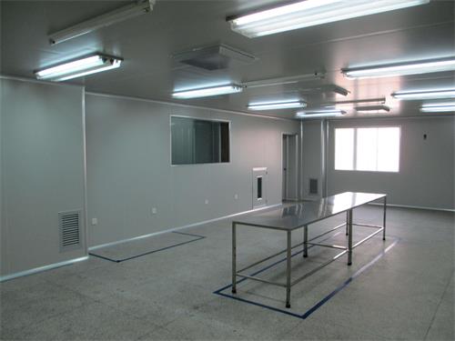 頂送側下回風非單向流潔凈室圖片