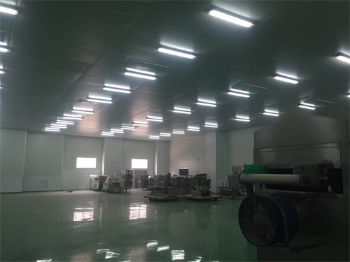 上海浦東食品凈化車間裝修效果圖